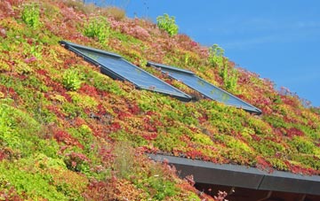 Kilgwrrwg Common living roof systems